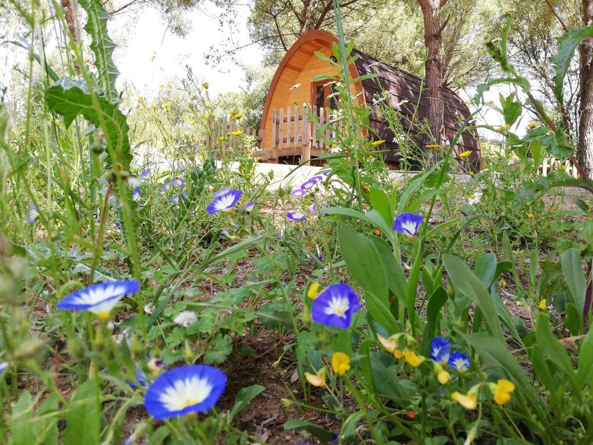 Hotel Glamping Sintra Exteriér fotografie