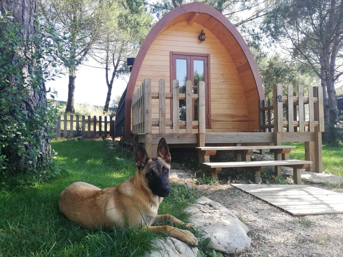 Hotel Glamping Sintra Exteriér fotografie