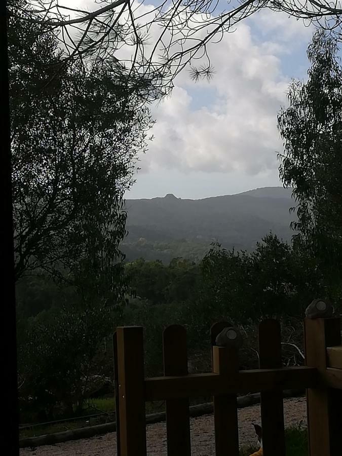 Hotel Glamping Sintra Exteriér fotografie